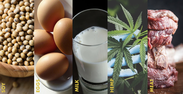 What is your protein pick : Protein Powder or Natural sources of Protein_Protein Types