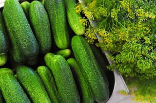 Cucumber: Nutrition and Benefits