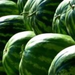 Watermelon-nutrition and benefits