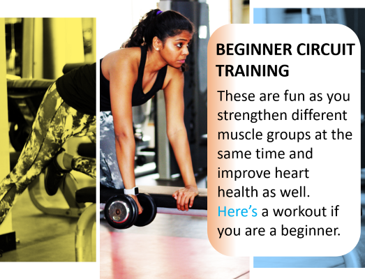 Full Body Circuit Workout for Beginners
